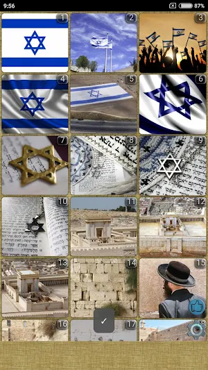 Israel WVGA Wallpaper Screenshot 1