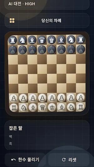 ChessMaster Screenshot 2