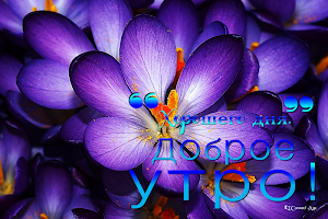 Good Morning in Russian Screenshot 0