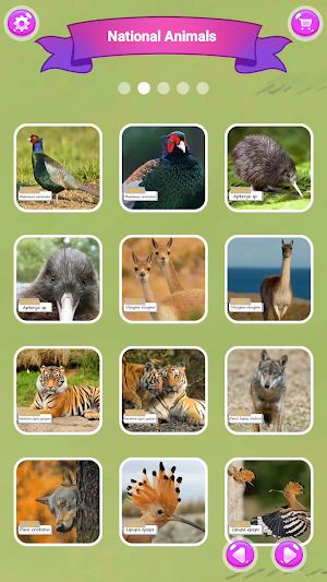 National Animals Puzzle Screenshot 1