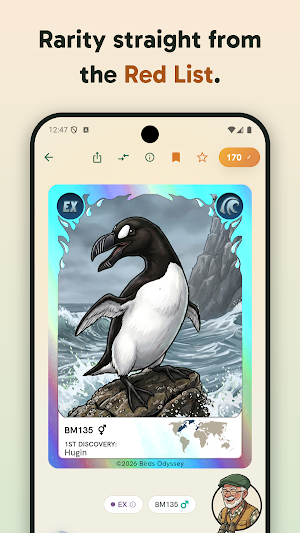 Birdey: Real Bird Card Game Screenshot 2