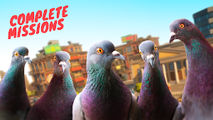 Pigeon Screenshot 3