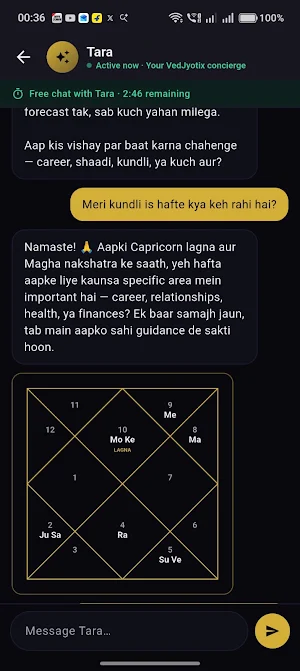 VedJyotix: Talk to Astrologers Screenshot 1