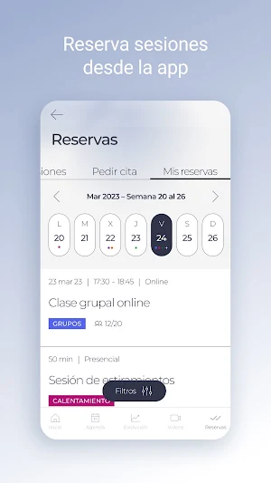 Fénix Screenshot 3