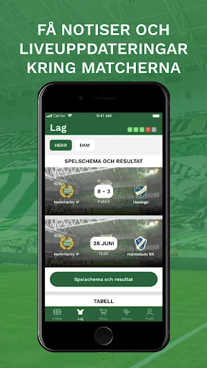 Forza Bajen Screenshot 2