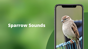 Sparrow Sounds - Sparrow Calls Ringtone Screenshot 0