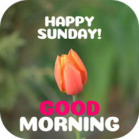 happy sunday good morning