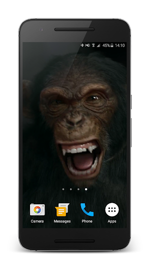 Talking Monkey Live Wallpaper Screenshot 2