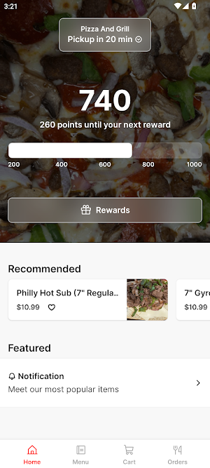 Pizza and Grill Screenshot 0