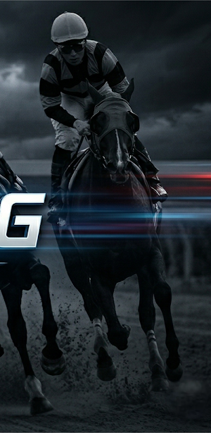 Totogaming Screenshot 3