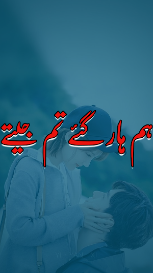 Hum Haar Gaye Tum Jeete Novel Screenshot 0