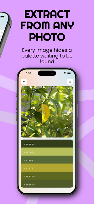 Palettely : Color Palettes Screenshot 2