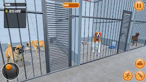 Animal Shelter Pet Life 3D Screenshot 0