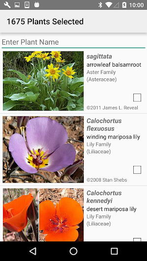 Death Valley Wildflowers Screenshot 1