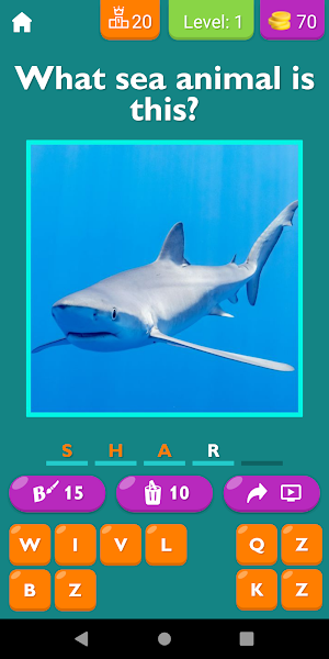Guess The Sea Animal Game Screenshot 0