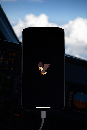 Emoji Screensaver Screenshot 2