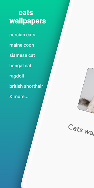 Cat wallpaper Screenshot 0