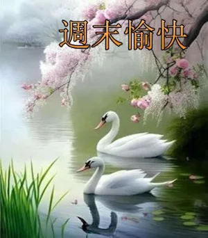週末愉快 Screenshot 0