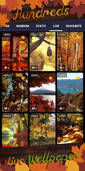 autumn background Screenshot 2
