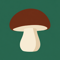 Mushroom Spots - Foraging Log