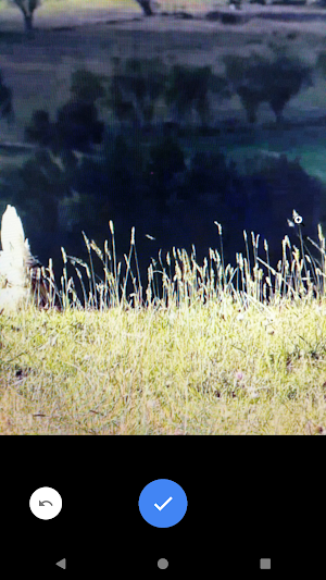 CAM2share - Camara para Compar Screenshot 1