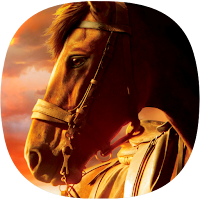 Horse Ringtones