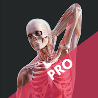 Human Anatomy Mixed Realit‪y