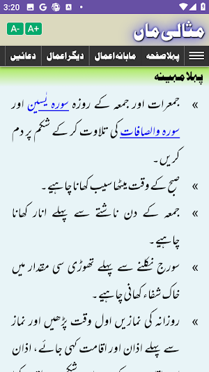Misalee Maan - Urdu Arabic Screenshot 2