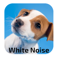 White Noise Dog Relaxing