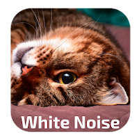 White Noise Cat Purring