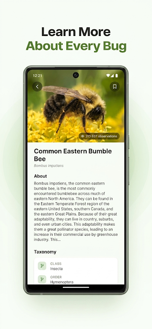 Buggy: Bug Identifier Screenshot 3