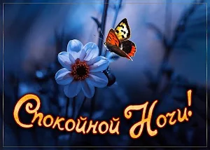 Спокойной ночи Screenshot 0