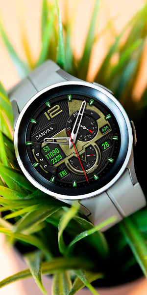 Analog BERQUIN CTS8 Watch face Screenshot 3