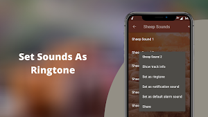Sheep Sounds Screenshot 2