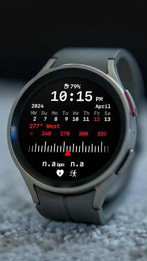 nbWatch: Compass X Screenshot 1
