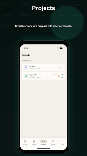 Tasqman – Team Task Manager Screenshot 2