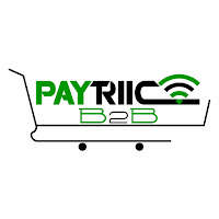 B2B Paytriic