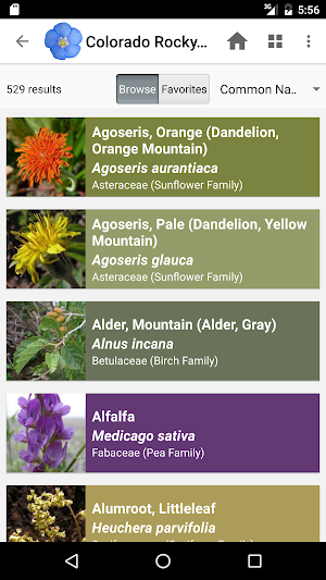 Colorado Rocky Mountain Wildflowers Screenshot 2