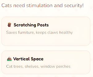 Kitty Care Screenshot 1