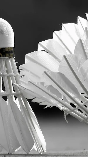 Badminton Wallpaper Screenshot 1