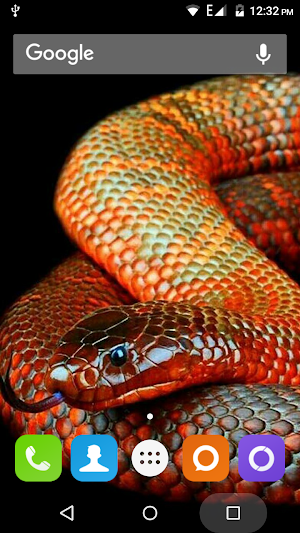 Snake Hd Wallpaper Screenshot 0
