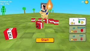 Noob vs TNT: Explode and Fly Screenshot 3