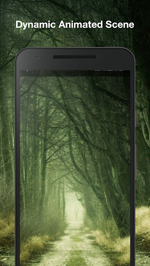 Real Forest Live Wallpaper Screenshot 1