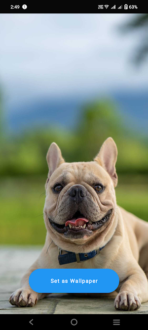 French Bulldog Wallpaper Screenshot 0