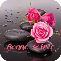 Bonne Soirée