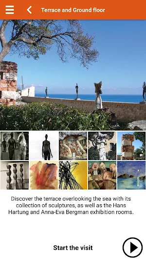 Picasso Antibes Screenshot 1