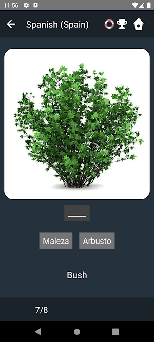 European Spanish Tests Screenshot 3