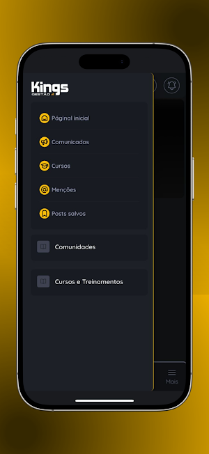 Kings Gestão Screenshot 3