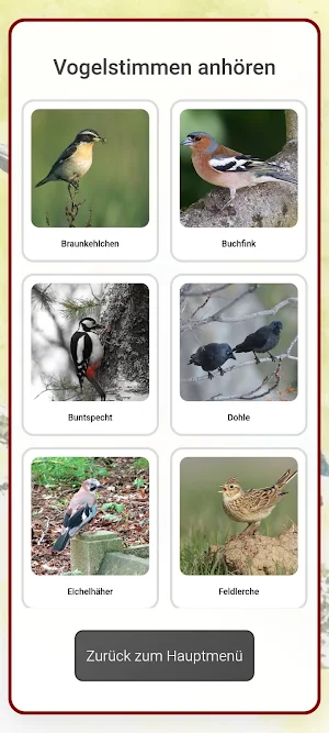 Vogel Quiz Screenshot 2