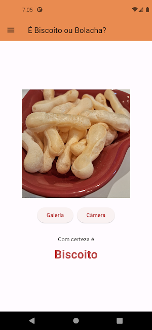 Biscoito ou Bolacha? Screenshot 1
